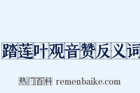 踏莲叶观音赞反义词是什么意思的图片